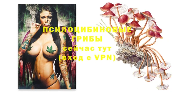 марки lsd Гусев