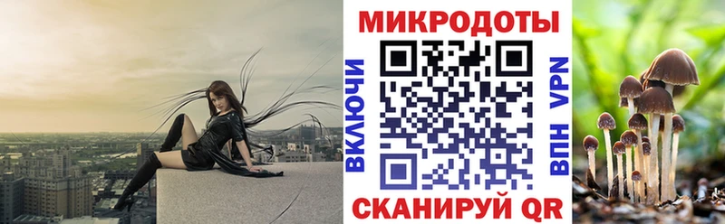 что такое наркотик  Москва  Псилоцибиновые грибы Psilocybe 
